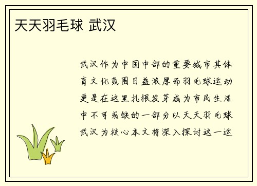 天天羽毛球 武汉